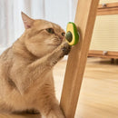 Brinquedo Abacate Antiestresse com Catnip para Gatos