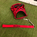 Peitoral com Guia Personalizada para Cães