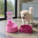 Comedouro Lento Educador Antiengasgo para Cães e Gatos