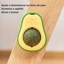 Brinquedo Abacate Antiestresse com Catnip para Gatos