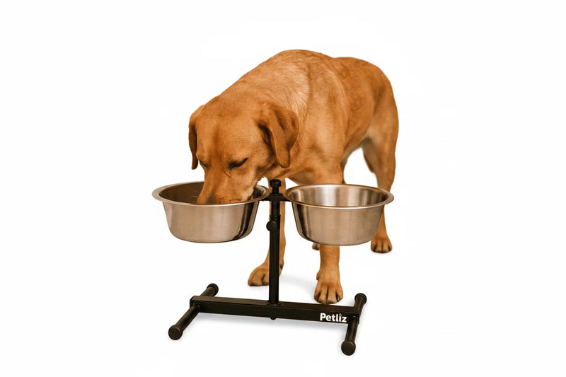 Comedouro Duplo Elevado Ajustável para Cães e Gatos