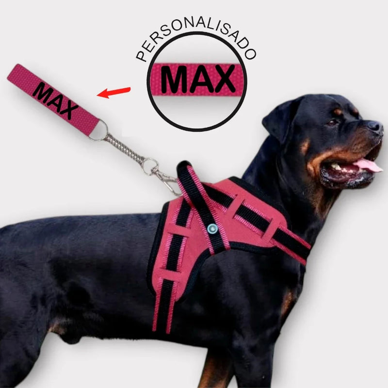 Peitoral com Guia Personalizada para Cães