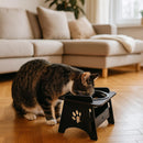 Comedouro Bebedouro Elevado com Tampas para Cães e Gatos