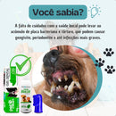 Kit Higiene Dental Pet com Gel Dental, Spray Bucal e Escova Dedeira