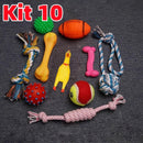 Kit Mordedores Anti-Estresse para Cães Filhotes - Kit 10