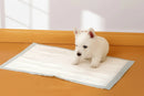 Tapete Higiênico Descartável para Cães 60x60cm